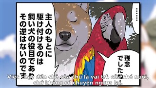 Ngày Tận Thế Với Chú Chó Shiba Của Tôi EP 36 [Sub Việt]