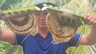 Muốn ăn món nầy là phải sưng cái mỏ - Bin Đen Miền Tây # 282