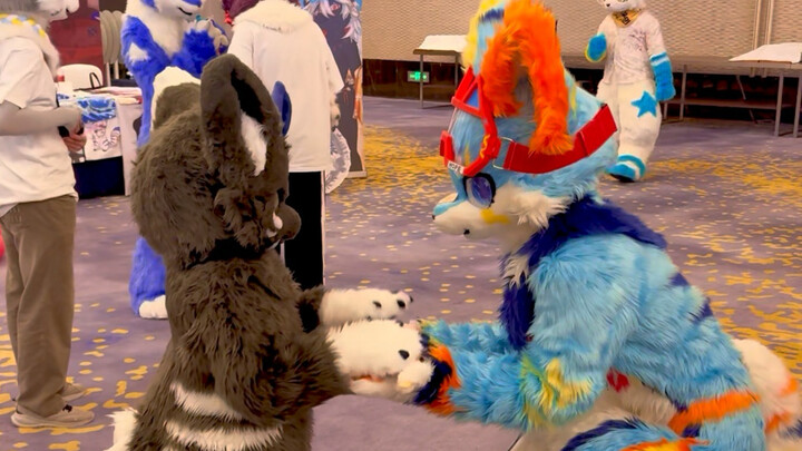 ตุ๊กตาสัตว์ขยับได้เอง!!