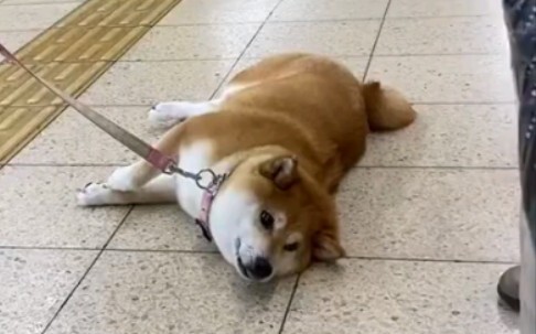 Aku nggak bakal pergi nih