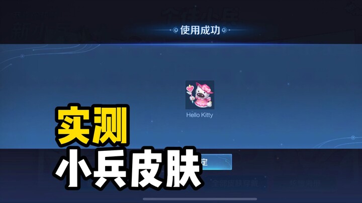 [Soldier Skin Review] Where exactly does it fall short?
