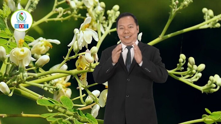 Moringa is the nutritional powerhouse of vitamins