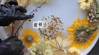 【公主请听文】Up主探索中，欢迎收看求三连！