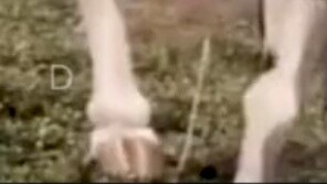 Hồi đó ai chưa lưu clip này vào điện thoại nhỉ?