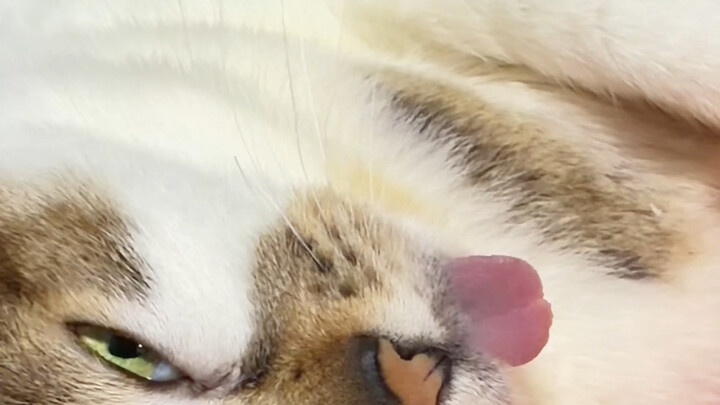 อีกหนึ่งวันที่น่ารัก