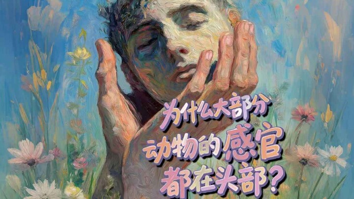 Why Are Most Animals’ Senses Concentrated in Their Heads?