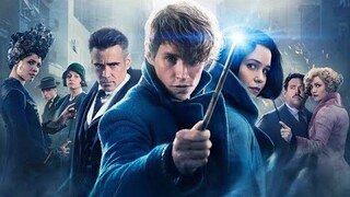 Review Phim | Sinh Vật Huyền Bí Và Nơi Tìm Ra Chúng |  Fantastic Beasts and Where to Find Them