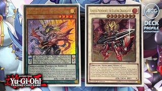 Yu-Gi-Oh! DRACOSLAYER Deck Profile - Post DAWKWING BLAST (October 2022)