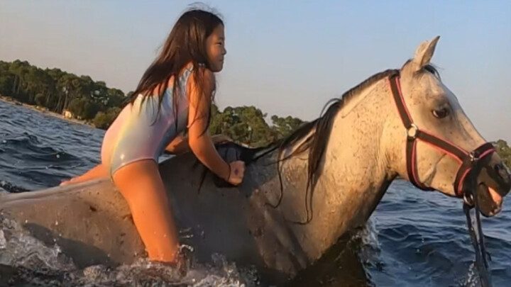 Ngựa không chỉ chạy nhanh mà bơi cũng rất nhanh.