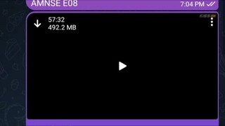 AMNSE All eps