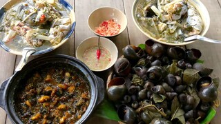 Hương Vị Ốc Ngày Xưa | MTQH