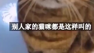 Setelah memelihara kucing, dengarkan meong kucing yang mengagumkan ini