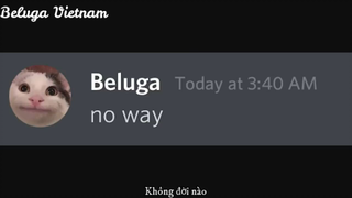 Beluga Và Ngày Tận Thế