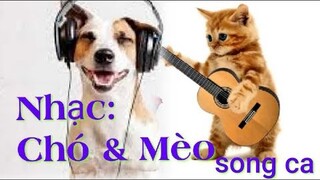 CHÓ & MÈO  SONG CA