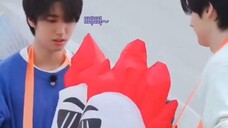 StrayKids Han Zhicheng HAN - Posisi hewan peliharaan grup lemah dan menyedihkan tetapi dapat memeluk