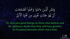 Surah Al-Baqarah - Idrees Abkar _ English Translation