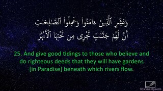 Surah Al-Baqarah - Idrees Abkar _ English Translation