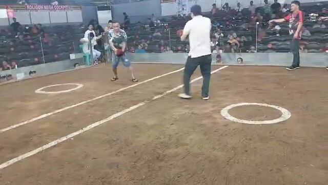 Another win at Roligon 2 Hits Ulutan