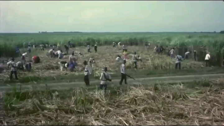 CINIMA BLOCKBUSTER MOVIE