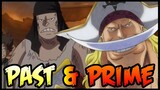 WHITEBEARD: His Past & His Prime!! - One Piece Discussion | Tekking101
