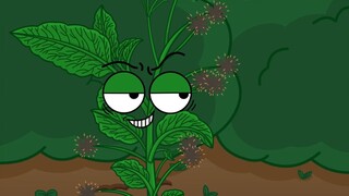 The seeds of this grass are all over your body