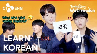 You can watch K-Drama without subtitles after watching this video🤓 | Twinkling Watermelon | CJ ENM