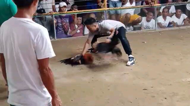 bangcoro buenavista marinduque