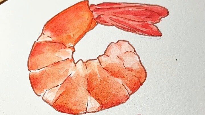 Zero basic watercolor! Draw a shrimp~learn it in three easy steps! Basic watercolor introductory tut