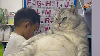 My younger brother was doing his homework, and Dazhuang was lying next to him leisurely.