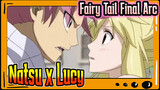 Potongan Natsu x Lucy | Fairy Tail Final Arc