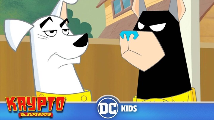 Krypto The Superdog | A Visit from Superman! | @DC Kids - Bilibili Krypto The Superdog | A Visit from Superman! | @DC Kids - Bilibili