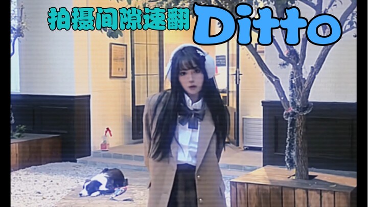 【杨淳】拍摄间隙速翻《ditto》New jeans