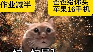 When you get a New Year's wish, choose one of two