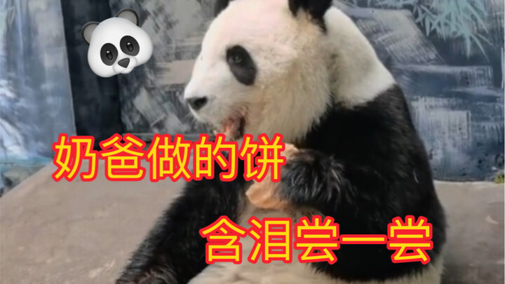 Even giant pandas have their helpless moments～