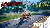 Ranch Simulator SS2 [ไทย] อัพเดท อัศวินรัตติกาล ม้าจอมพลังประมูลม้ากันเถอะ EP.83