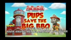 Paw patrol Musim 11 Episode 18 Bahasa indonesia (Audio tidak sesuai)