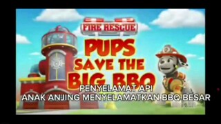 Paw patrol Musim 11 Episode 18 Bahasa indonesia (Audio tidak sesuai)