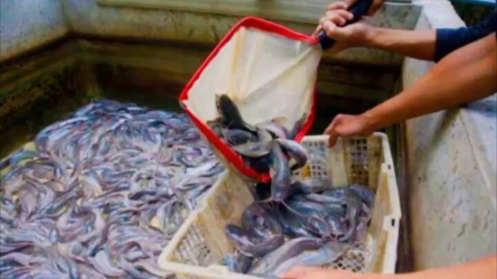 anak pesantren berkarya