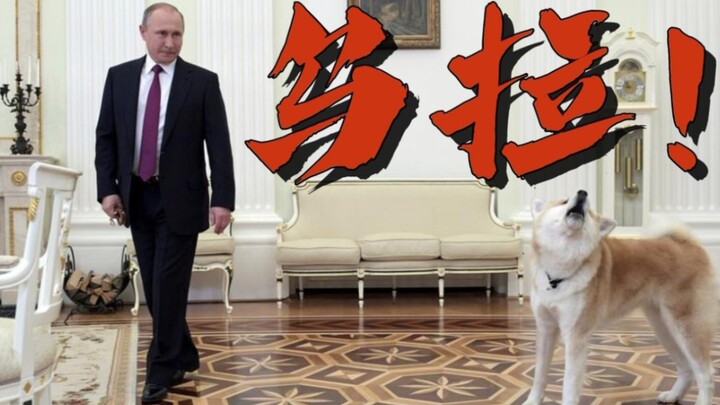 คนขับรถตัวน้อยข้างๆ ปู๋ต้าตี้