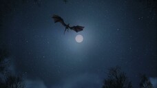 Witch-Hunter