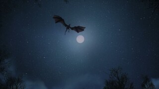 Witch-Hunter