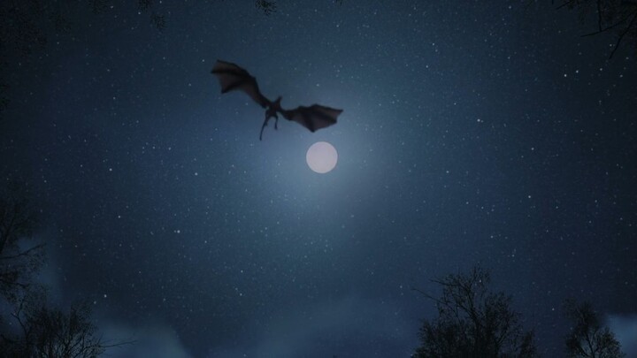Witch-Hunter