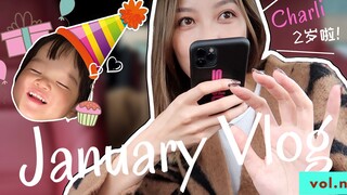 วิดีโอบล็อกเดือนมกราคม | ฉันกับเจ้าตัวเล็กวัย 2 ขวบ???? | เดือนแรกยังคงพยายามอย่างเต็มที่