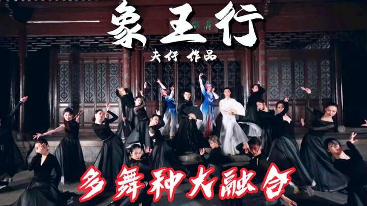 冲击你的视觉《象王行》还可以这样跳！多舞种大融合【夫仔编舞】