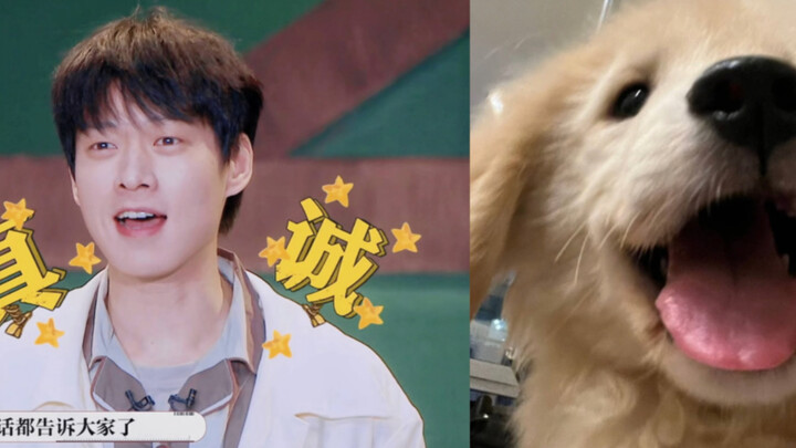 Tolong! Dia benar-benar sudah jadi siluman golden retriever, ya!