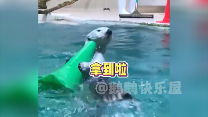 นากน้อย: บ้านนี้ขาดฉันไม่ได้เลย