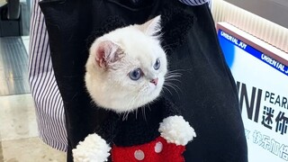 Everyone's looking at me! Mom, can you hurry up?