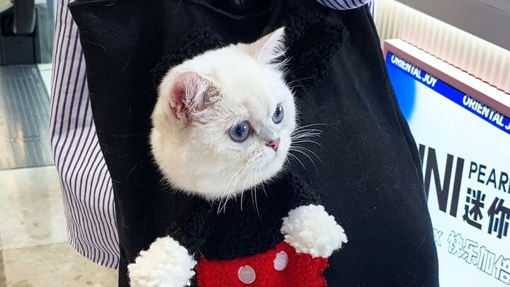 Everyone's looking at me! Mom, can you hurry up?