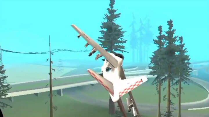 fly like a pro