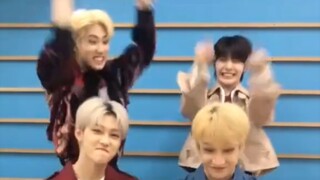 【Stray Kids】Một phiên bản TikTok của mọi người đột nhiên bị bệnh đã được phát hiện trong một cuộc kh